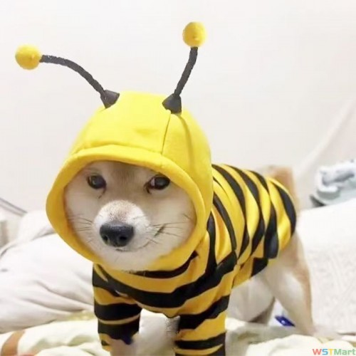 小型犬宠物棉袄狗狗衣服ins新款泰迪猫咪卫衣加绒加厚条纹连帽服