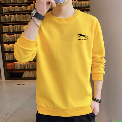 2024卫衣秋季韩版宽松士休闲长袖t恤秋衣外套上衣潮