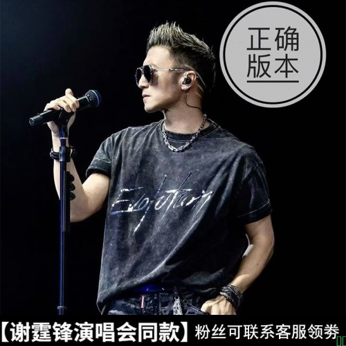 谢霆锋进化演唱会周边同款衣服男女2025纯棉洗水做旧重磅短袖T恤