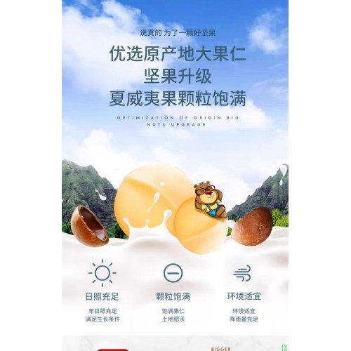 夏威夷果奶油味薄壳大果健康坚果特大夏威夷果干果休闲小零食新货