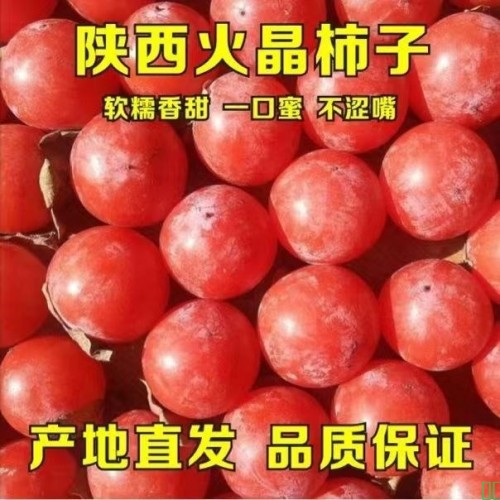 正宗火晶柿子流心软柿子无核蜜柿无籽当季应季新鲜水果甜柿整箱