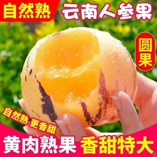 云南人参果水果大果黄肉新鲜石林人叁果树上熟人生果圆果整箱脆甜