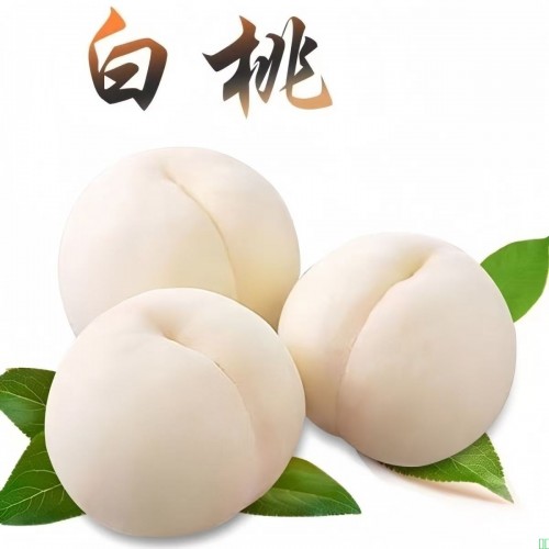 正宗山东蒙阴奶油大白桃白玉桃脆甜毛桃水蜜桃新鲜应季罕见水果