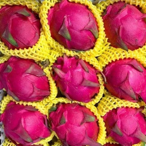 产地直发红心火龙果新鲜现摘四季红肉正宗金都一号火龙果红心水果