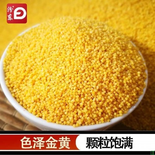 [2025年新米】汾东正宗山西黄小米5斤新米农家月子米油多1kg罐装