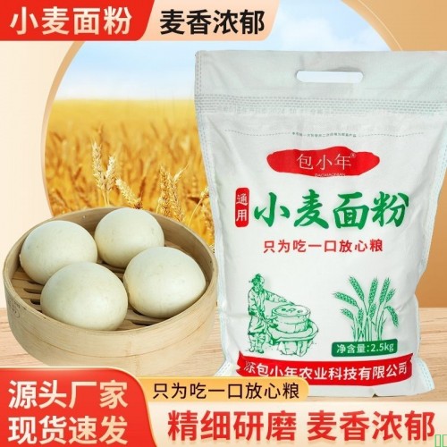 山东冬小麦面粉整颗研磨不提取小麦蛋白和胚芽含麦芯无添加剂