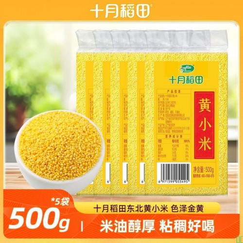 十月稻田黄小米500g*2煮粥便宜划算小米粥农家饭杂粮米油多5斤