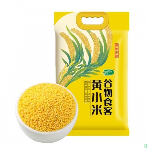 十月稻田黄小米5斤真空装煮粥蒸饭米油浓稠五谷杂粮早餐小米粥料