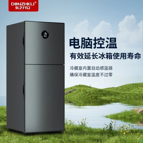 东之开立冰箱出租房宿舍小型一级节能新款冷藏冷冻两用车载冰箱