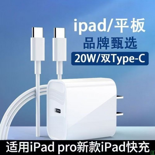 巨量数码科技适用于iPad Pro平板20w快充iPad Air4/5编织双c线