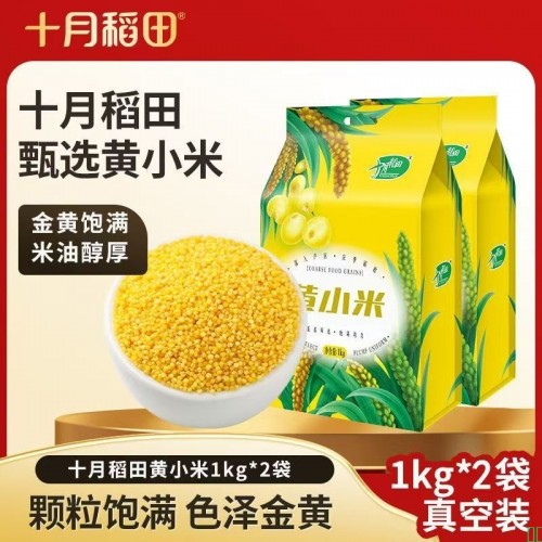 十月稻田黄小米1kg*2袋米油醇厚金黄免泡易煮粥五谷杂粮真空装4斤