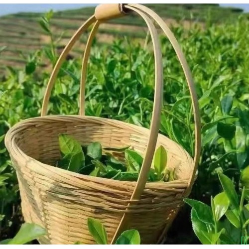 安溪祥华铁观音高山 特级茶叶秋茶正宗兰花香 清香型特级散茶500g