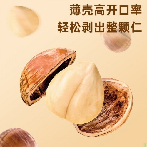 25025新货开口东北大榛子500g原味臻子新鲜坚果炒货年货特产零食