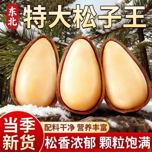 东北松子2025新货特大颗粒级开口红松子手剥坚果零食官方旗舰店
