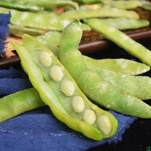 东北速冻九月青豆角油豆角速冻蔬菜开锅烂冻豆角非一点红豆角特产