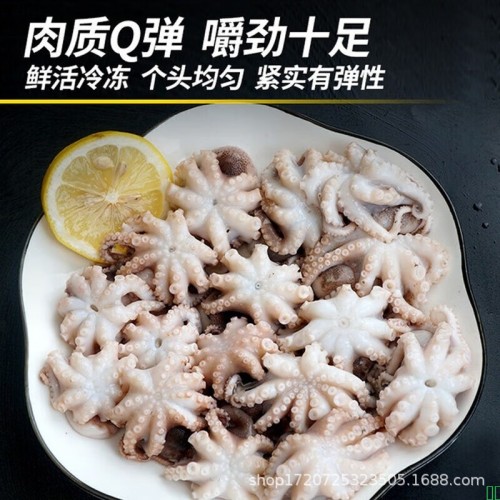 小八爪鱼鲜活冷冻生鲜水产迷你爆头短腿小章鱼火锅食材水产商用