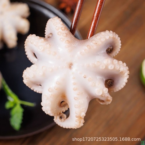 小八爪鱼鲜活冷冻生鲜水产迷你爆头短腿小章鱼火锅食材水产商用