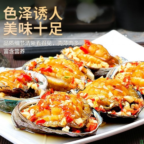 新鲜鲍鱼鲜活超大海鲜水产生鲜活特大加热即食干小鲍鱼捞汁饭批发