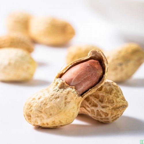 旭东百里挑一山核桃蒜香味花生258g香瓜子南瓜籽花生炒货零食批发