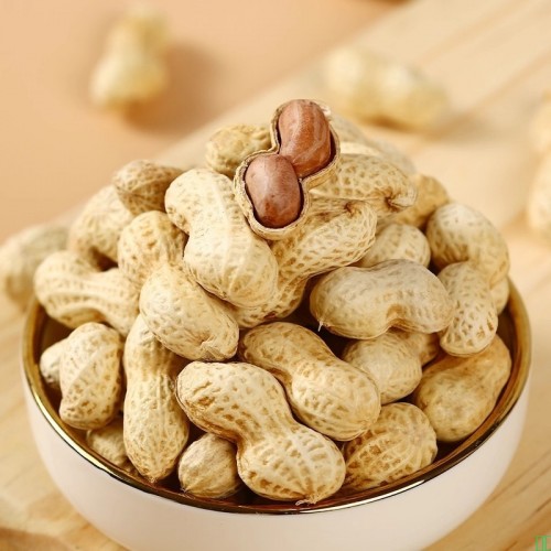 旭东百里挑一山核桃蒜香味花生258g香瓜子南瓜籽花生炒货零食批发