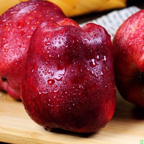 正宗甘肃天水花牛苹果9斤整箱当季新鲜水果10批发包邮5斤粉面蛇果_