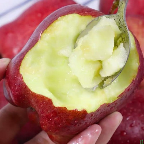 正宗甘肃天水花牛苹果9斤整箱当季新鲜水果10批发包邮5斤粉面蛇果_