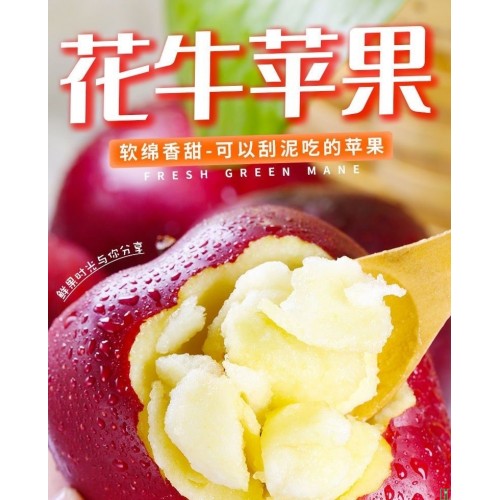 正宗甘肃天水花牛苹果9斤整箱当季新鲜水果10批发包邮5斤粉面蛇果_