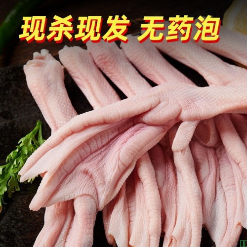 鸭掌生鲜大号鸭爪冷冻批发鸭脚生带皮商用家用一件包邮厂家直销