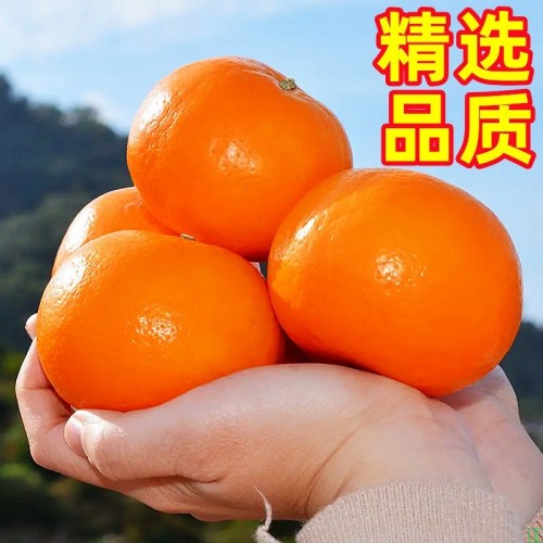 正宗广西武鸣沃柑新鲜橘子当季水果非砂糖橘蜜桔大果10斤整箱包邮