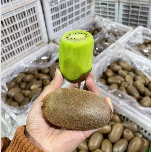 一件代发猕猴桃正宗徐香绿心奇异果应季水果礼盒新鲜大果产地直发