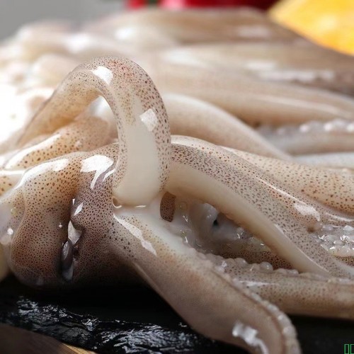 鱿鱼须冷冻生鲜大鱿鱼新鲜活超大鱿鱼头尤鱼须鱿鱼串铁板烧烤商用