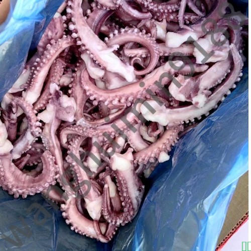 鱿鱼须新鲜速冻脆口鱿鱼须冷冻生鲜火锅烧烤食材水产商用批发