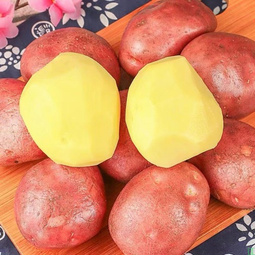 云南红皮土豆黄心小土豆新鲜云南特产应季蔬菜现挖土豆一件代发