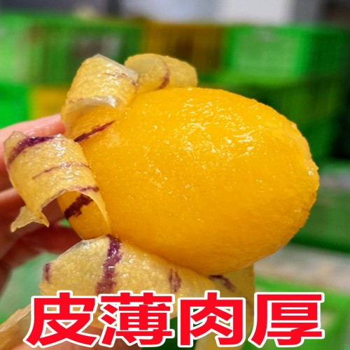 云南石林人参果10斤时令应季人心果人生果水果当季新鲜整箱树上熟