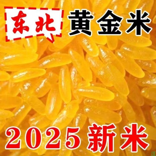 黑龙江黄金米大米东北特产1斤2斤3斤玉米无胚芽杂粮粗粮主食批发