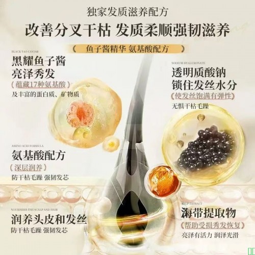 欧嘉莱尼鱼子酱滋养洗发水控油蓬松去屑止痒柔顺久留香护发素套装