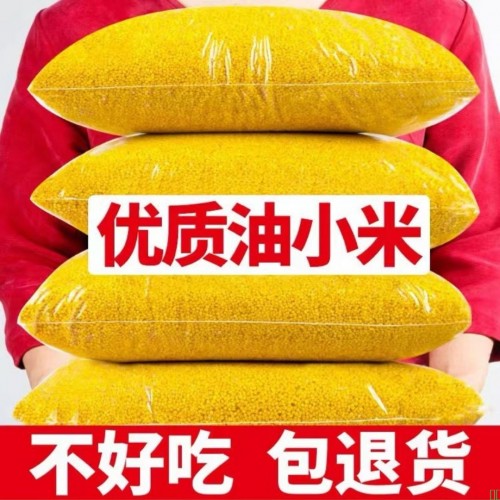 2025新小米农家新米优质黄小米小米粥食用月子软糯五谷杂粮黄小米