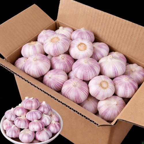 大蒜奋斗奋斗干活吧轨顶风道.................