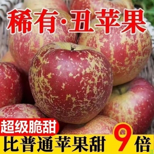 【更甜】高山丑苹果新鲜水果现摘应季冰糖心红富士苹果脆甜一整箱