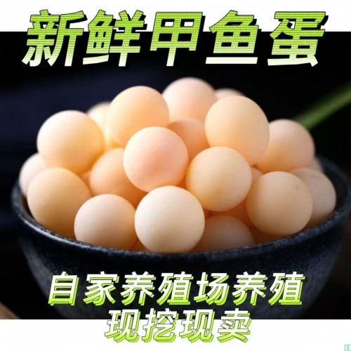 60/120/240枚老人宝宝蛋生态甲鱼蛋老鳖蛋辅食可食用宿舍宠物包邮