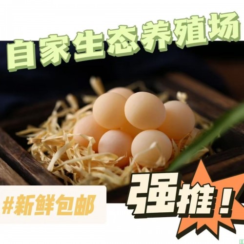 一斤高产绿壳蛋黑凤鸡黑乌鸡黑鸡老母鸡下蛋鸡绿壳蛋鸡散养小鸡苗