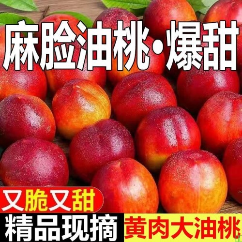 脆甜】黄心山西大油桃5斤3斤新鲜孕妇水果当季黄肉油桃子整箱油桃