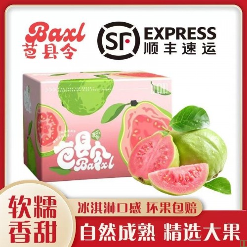 【顺丰包邮】芭县令正宗树上熟广西红心芭乐奶油软糯香甜番石榴
