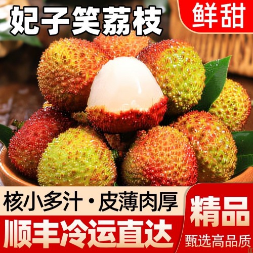 【顺丰冷链】妃子笑荔枝海南新鲜当季水果净重2.8斤/4.5斤整箱