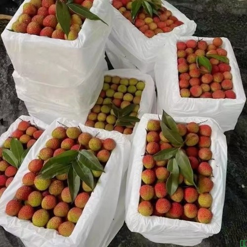 【EMS冷链】正宗海南妃子笑荔枝小核新鲜当季水果净重荔枝现货