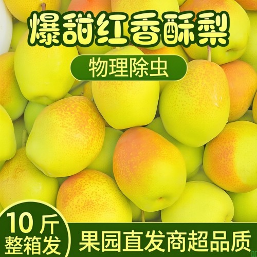 【爆甜】正宗香梨香酥梨薄皮应季水果一整箱红香酥梨子新鲜水果