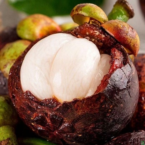 正宗泰国新鲜山竹应季新鲜水果孕妇水果鲜甜多汁果肉饱满高端水果