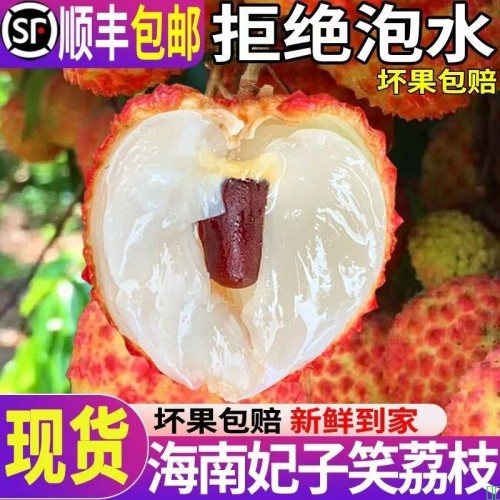 顺丰现货妃子笑荔枝新鲜当季现摘孕妇水果礼盒装整箱大果冷链正品