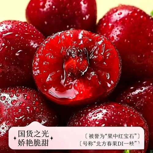 山东美早4J大樱桃特大空运精品应季国产车厘子新鲜现摘孕妇大果
