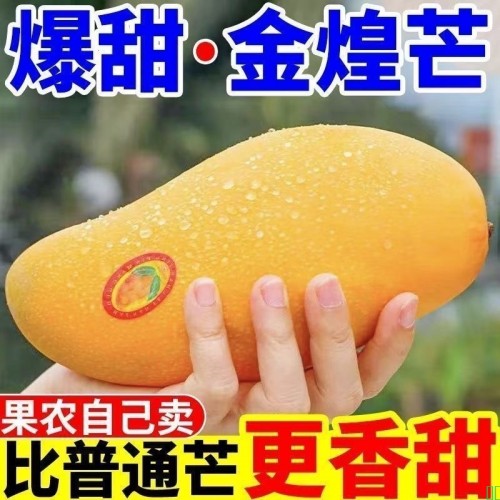 【特级大果】海南金煌芒青芒特大号芒果现摘新鲜当季水果整箱薄皮